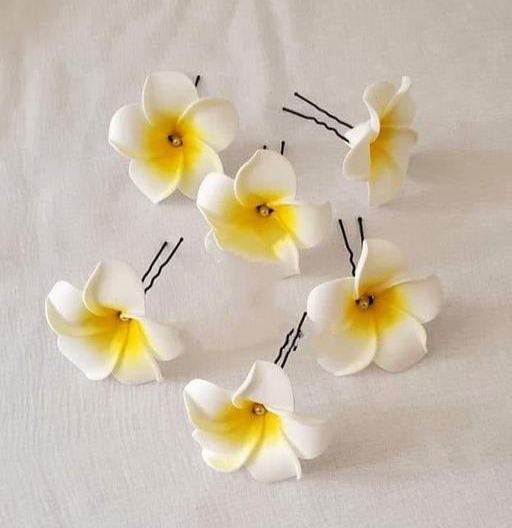 6Pcs Minimalist Chapa White Flower Hair Pins, Bridal Hair pins Silver,Bridal Hair Pins Set,Gold Hair Pins,Floral Hair Pins,Pearl Hair Pins